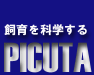 PICUTA