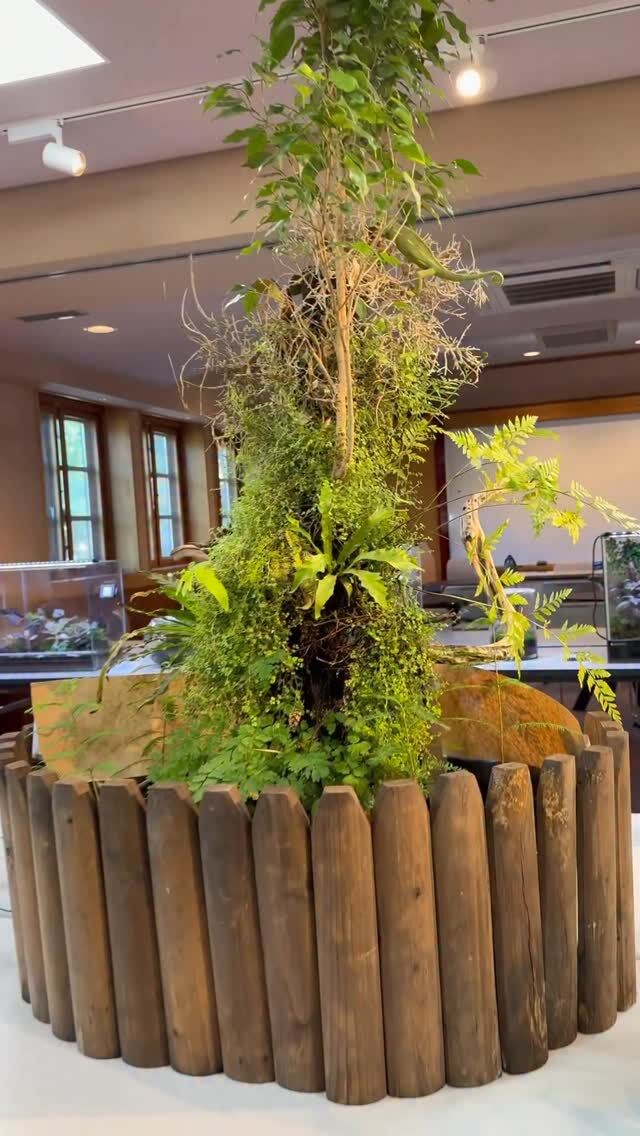 クライマー系植物の販売パッケージをリニューアル – 有限会社ピクタ